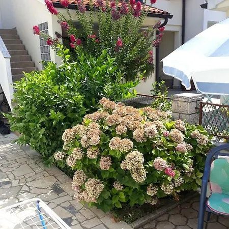 Stana Porec